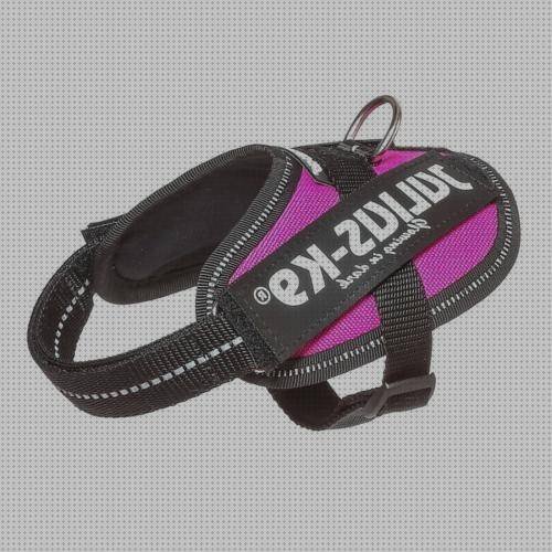 Las mejores marcas de arnés ergonómico julius k9 mouse 3m ergonómico negro em500gps mouse ergonómico 3m em500gps arnes ergonómico julius k9 fucsia