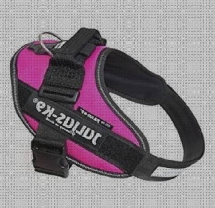 ¿Dónde poder comprar arnés ergonómico julius k9 mouse 3m ergonómico negro em500gps mouse ergonómico 3m em500gps arnés ergonómico julius k9 idc fucsia?