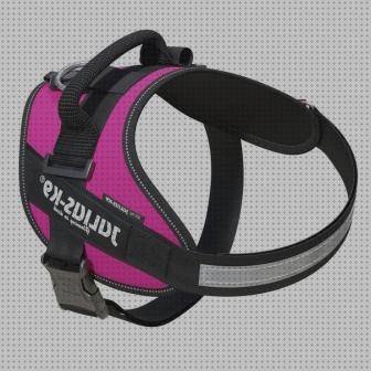 Las mejores arnés ergonómico julius k9 mouse 3m ergonómico negro em500gps mouse ergonómico 3m em500gps arnés ergonómico julius k9 idc fucsia