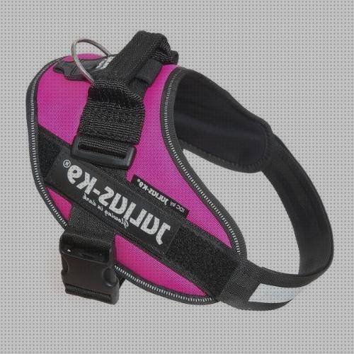 Review de arnés ergonómico julius k9 idc fucsia