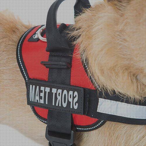 Review de arnes ergonómico perro pequeño