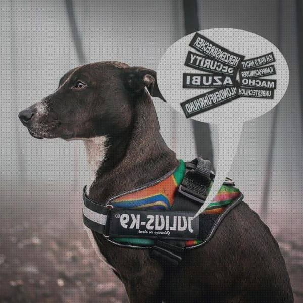 Opiniones de los 12 mejores Arneses Para Perros Ergonómicos Personalizados