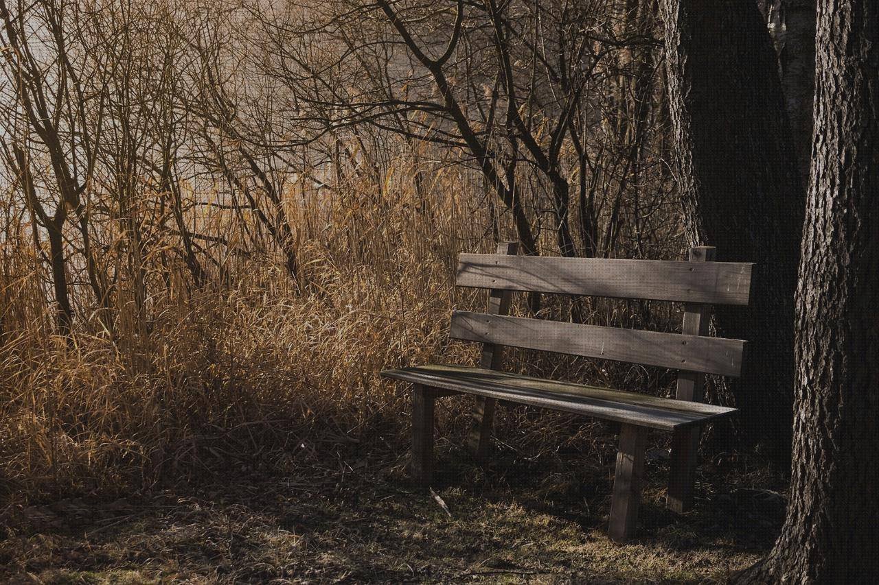 Las mejores marcas de asientos asiento ergonómico angulo