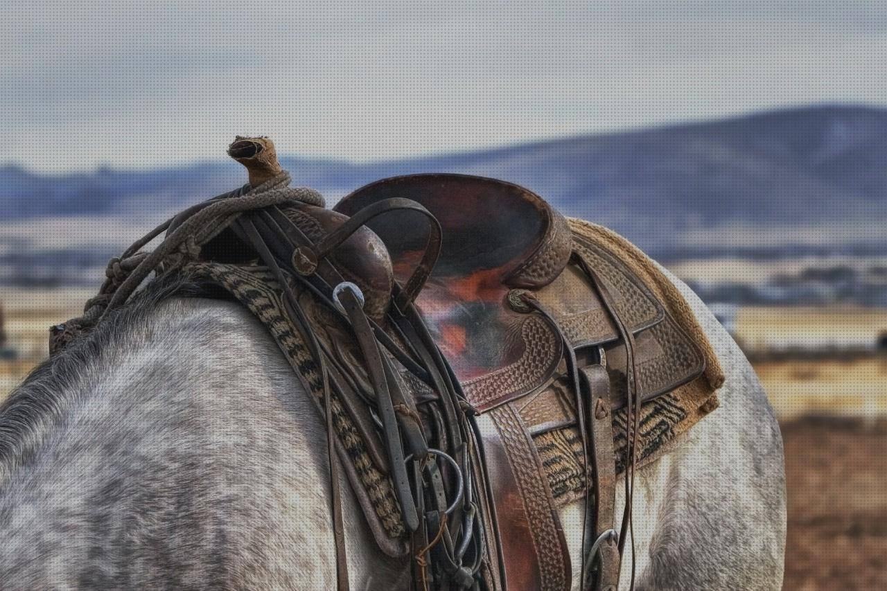 Review de asiento ergonómico bumbo