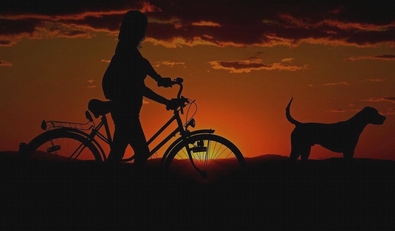Las mejores bicicleta ergonómica bicicletas de paseo sillin cómodo