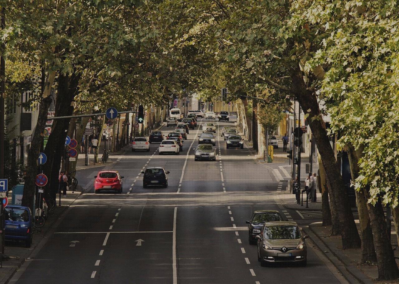 Las mejores marcas de calzados calzado sanitario cómodo