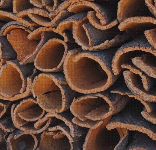 Review de calzados ergonómico y naturales