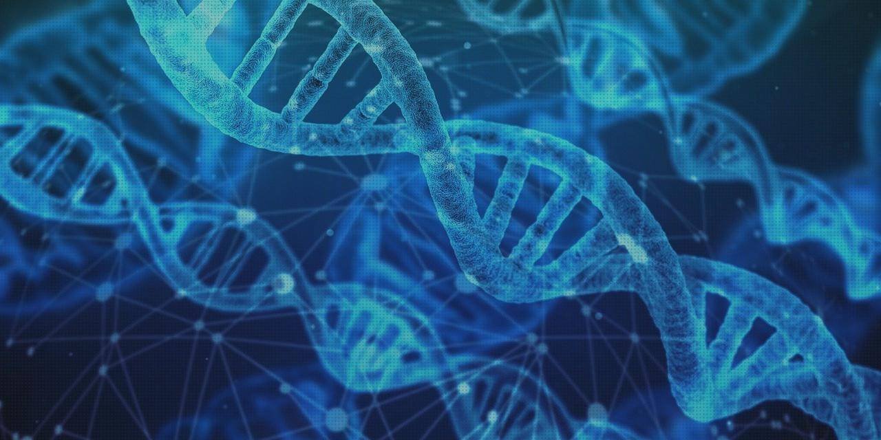 Las mejores vasija ergonómica discapacitado vasija ergonómica cocina ergonómica leña ciencia ergonómica