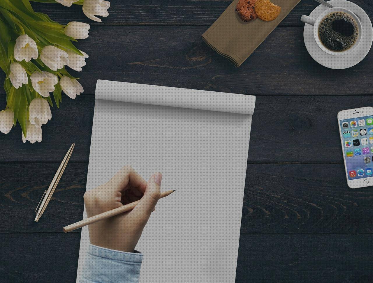 Las mejores marcas de cojines cojin con respaldo ergonómico