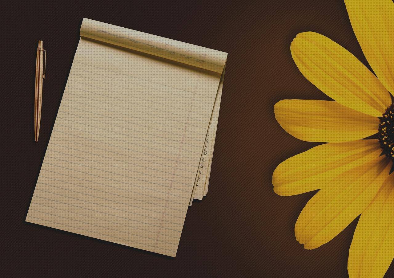 Las mejores cojines cojin con respaldo ergonómico