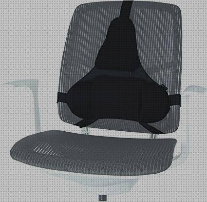 Los 11 Mejores Cojin Lumbar Ergonómico Fellowes Professional