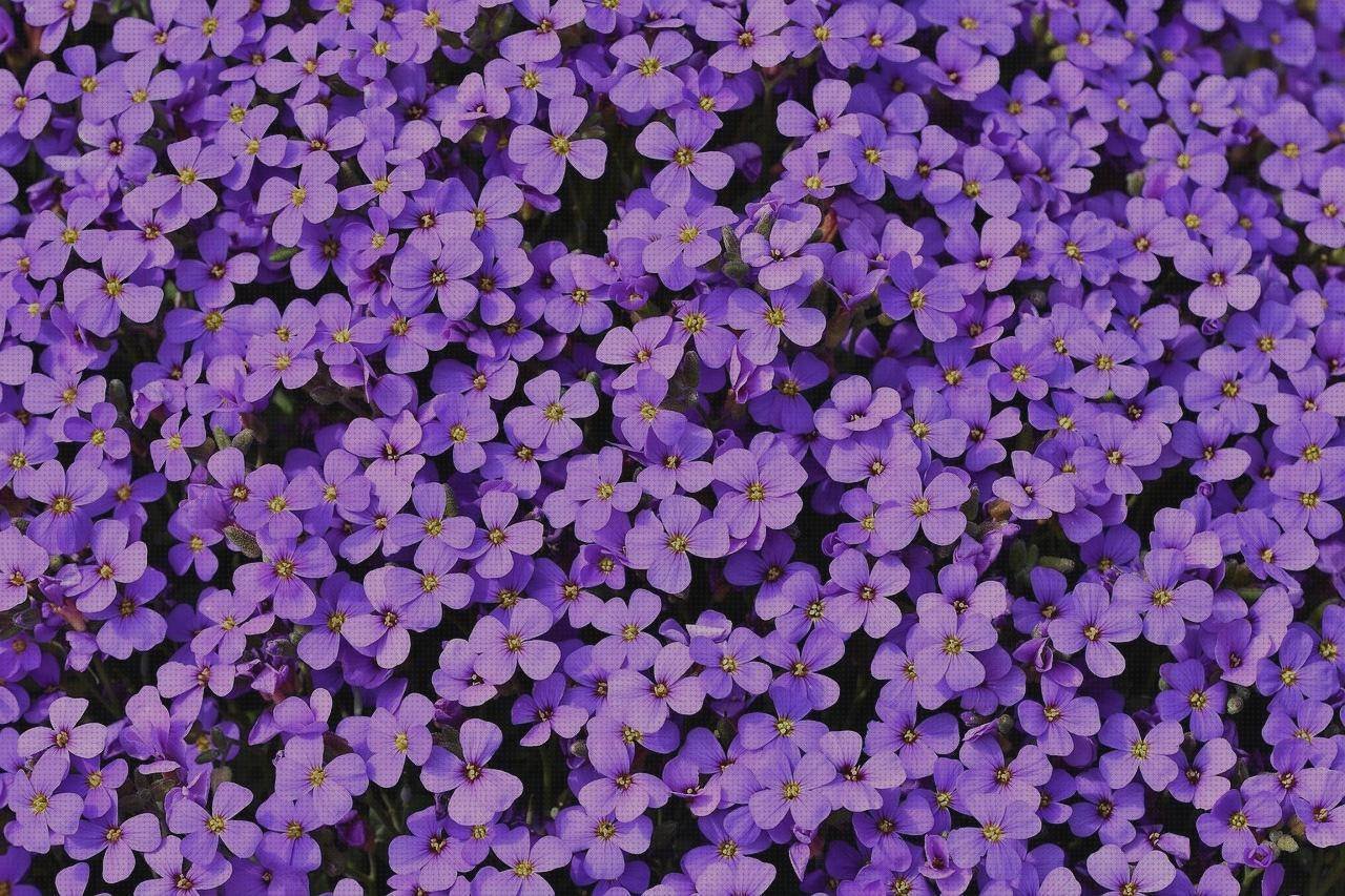 Las mejores marcas de colchones colchón ergonómico