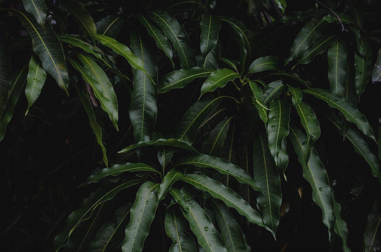 Las mejores marcas de mango ergonómico