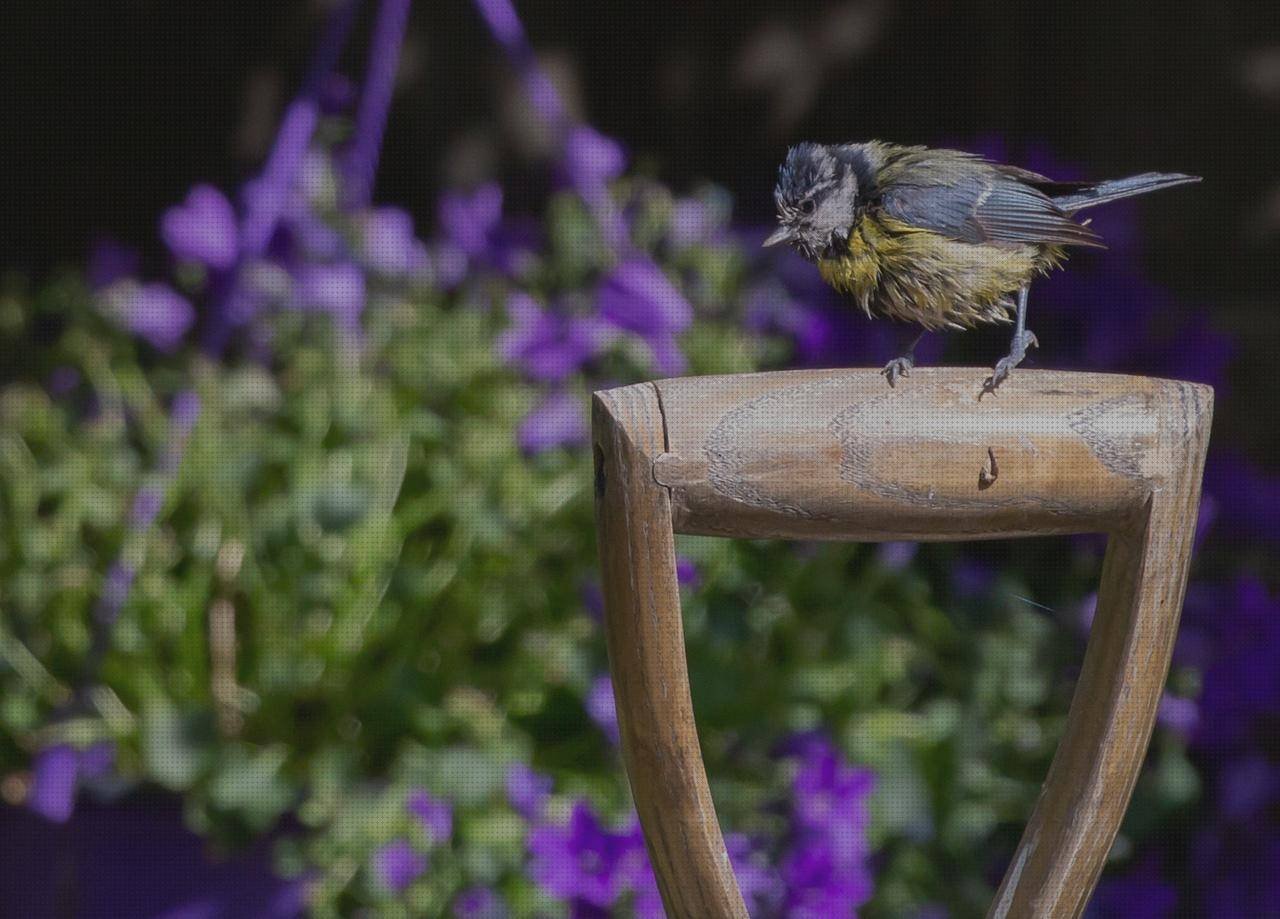 Las mejores mango ergonómico mango pala ergonómico
