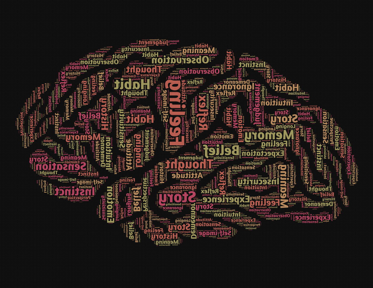 Las mejores marcas de vasija ergonómica discapacitado vasija ergonómica cocina ergonómica leña psicología ergonómica