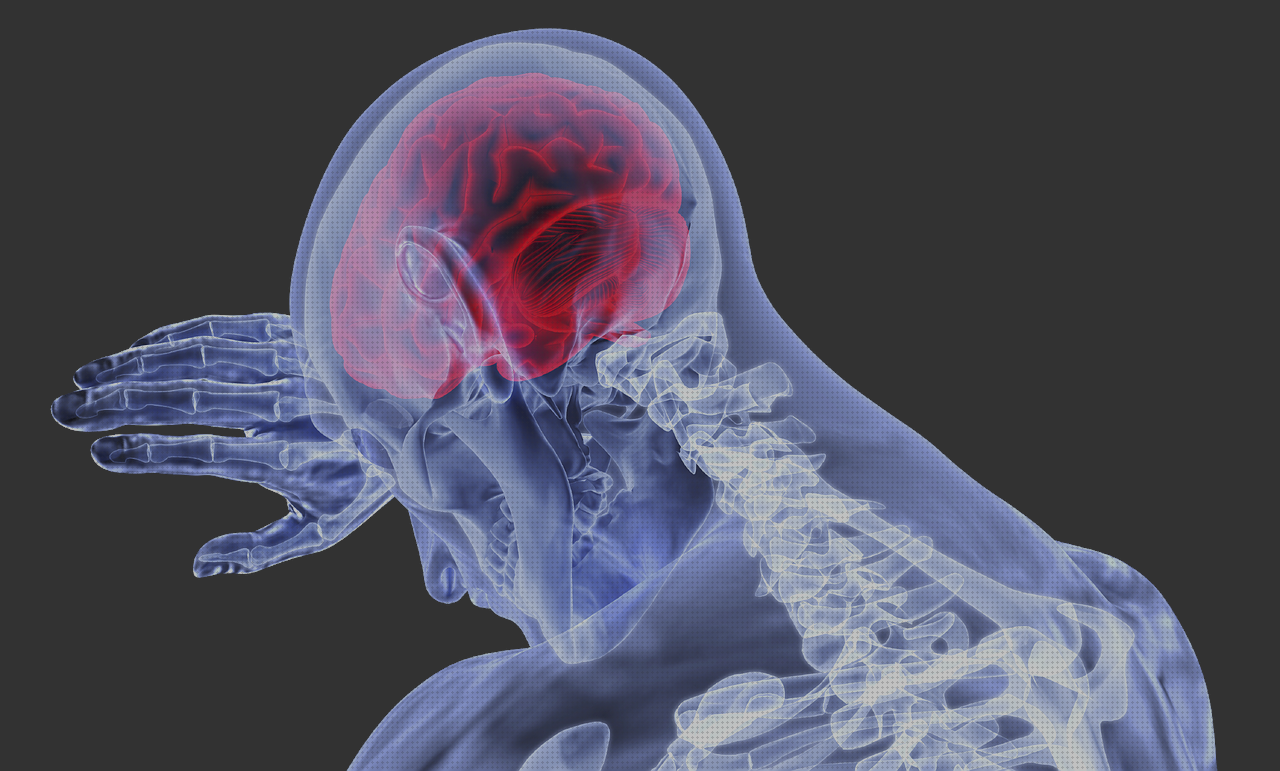 Las mejores vasija ergonómica discapacitado vasija ergonómica cocina ergonómica leña psicología ergonómica