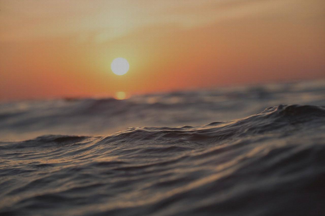 Las mejores puesto ergonómico