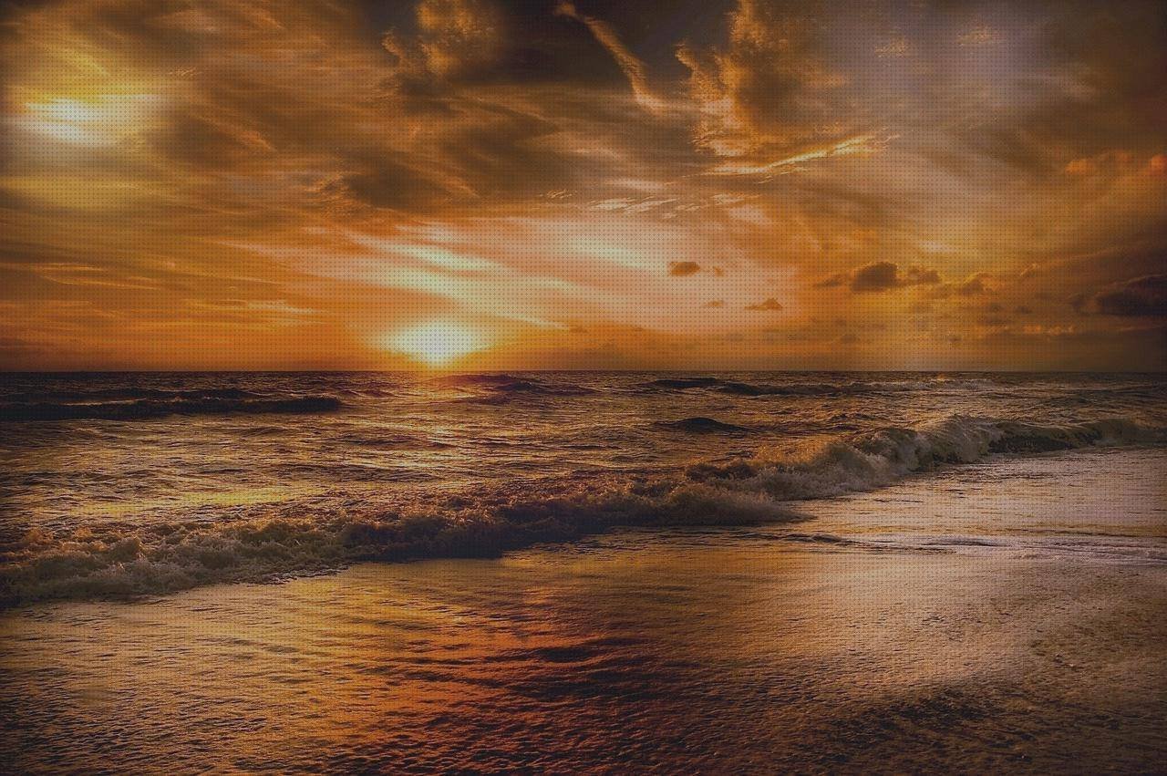 Mejores 35 productos para puesto ergonómico