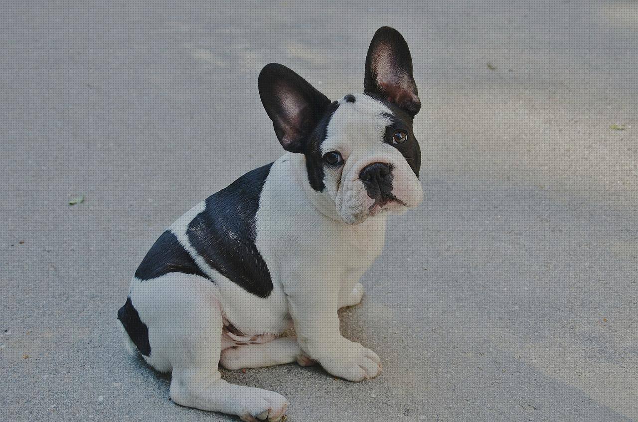 ¿Dónde poder comprar puff ergonómico cocina ergonómica leña cocina industrial ergonómica puff cama cómodo?