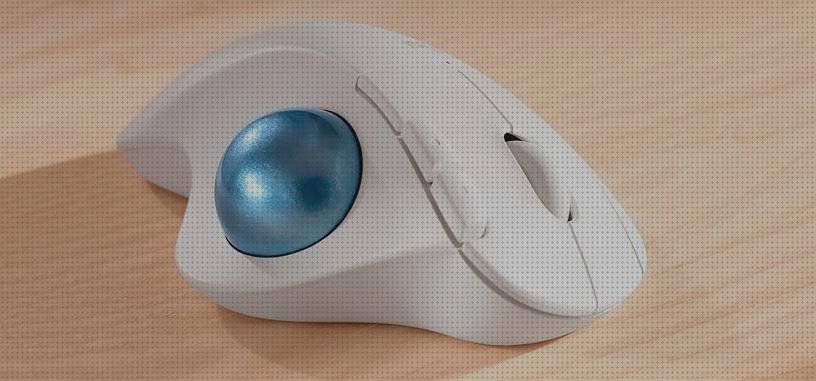 Las mejores marcas de ratones raton ergonómico bola