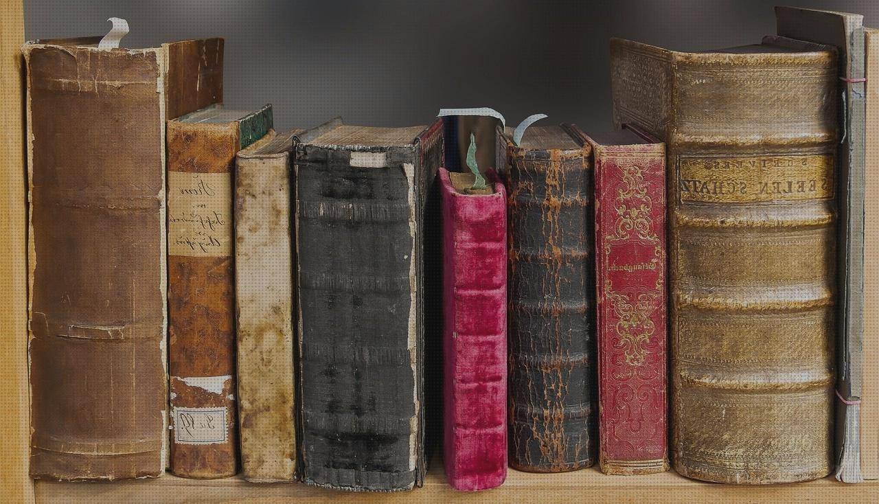 Las mejores ratones ratón inalambrico ergonómico mano pequeña