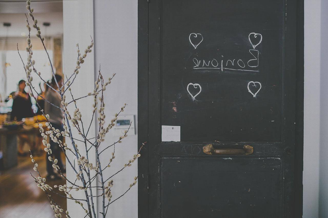 Las mejores 18 Salut Ergonómica