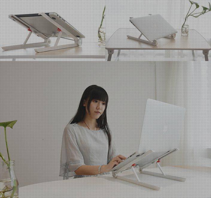 Los 19 Mejores Suporte Ergonómico