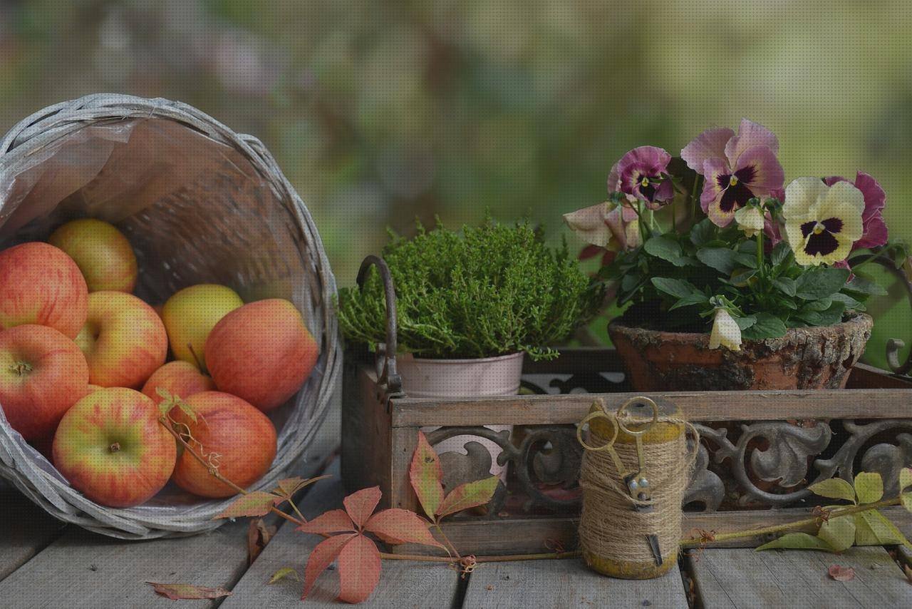 Review de tijeras ergonómicas