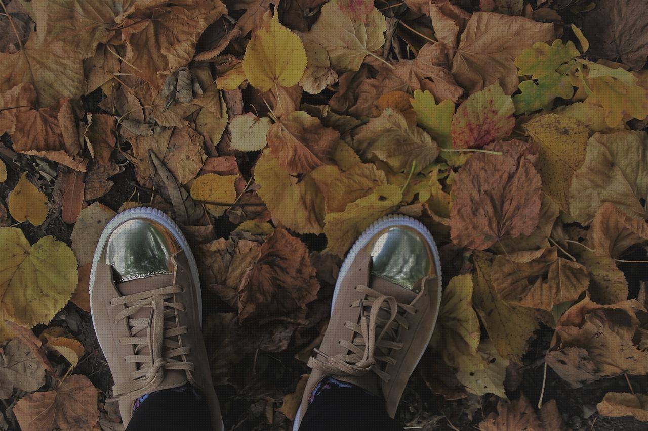 ¿Dónde poder comprar zapatos zapato bonito y cómodo?