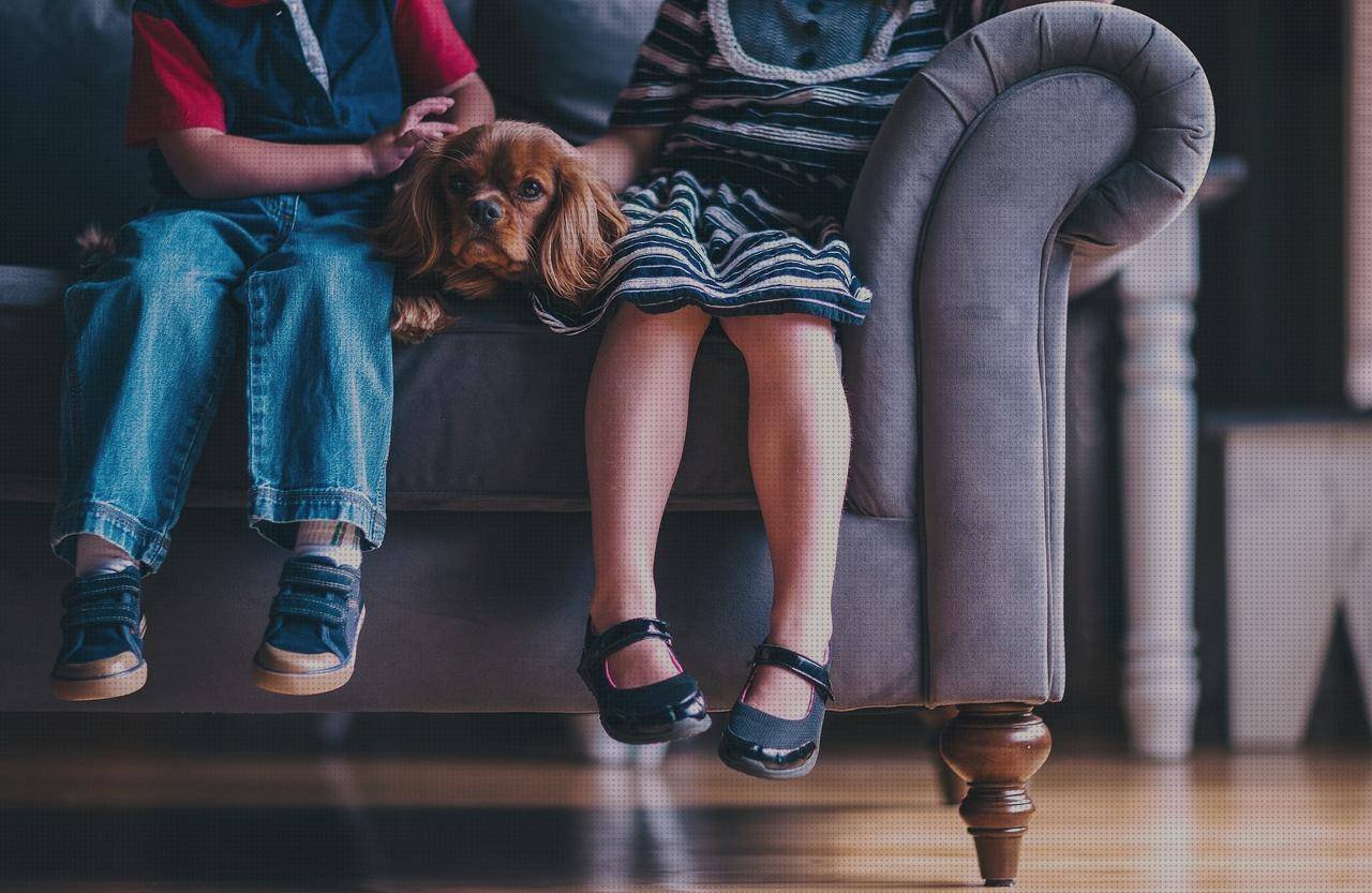Las mejores marcas de zapatos zapato chica cómodo